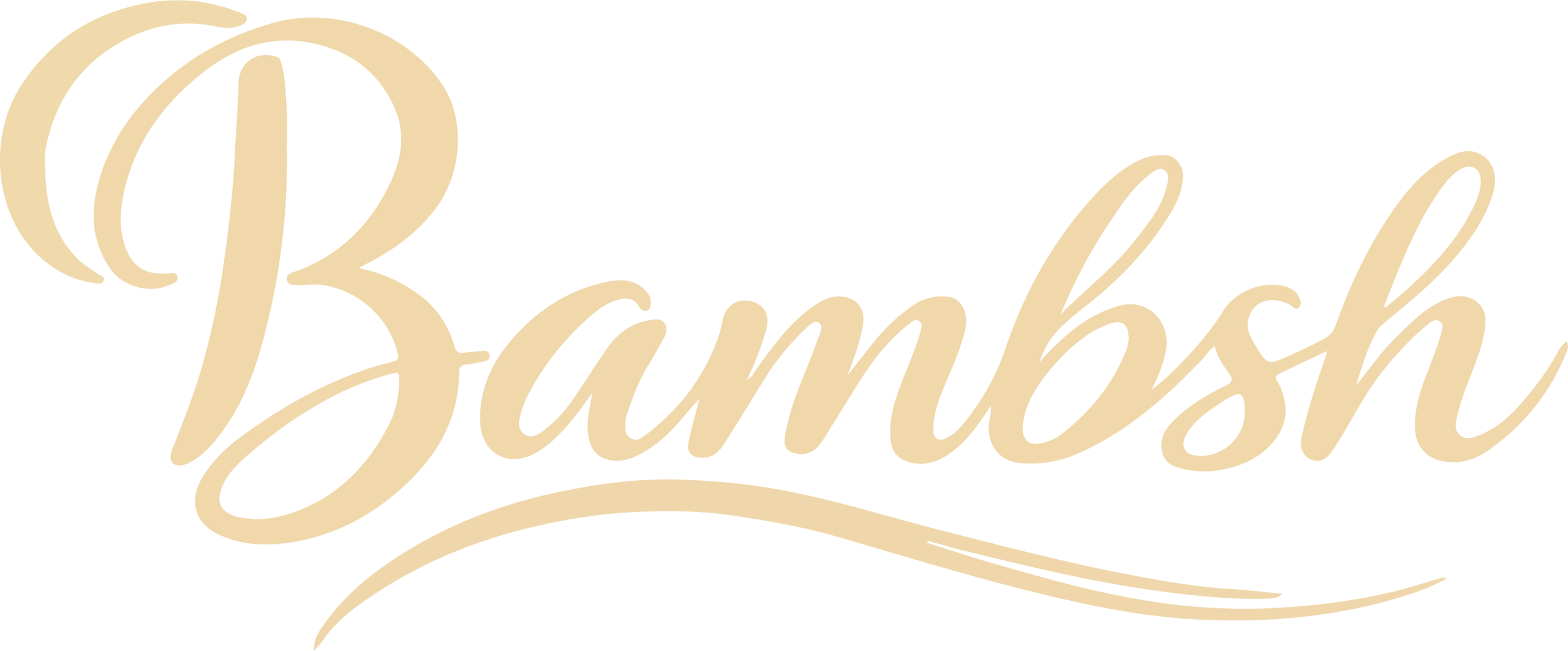 Bambsh Restaurant & Café